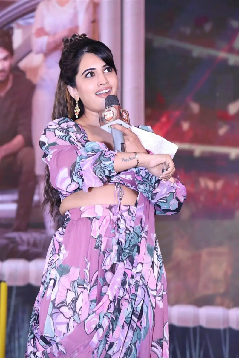 Telugu Movie Bhaje Vaayu Vegam Pre Release Event Photos